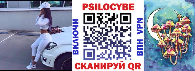 Псилоцибиновые грибы Cubensis  Купить  Асино 